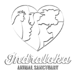 Black and white stacked logo of Indraloka Animal Sanctuary