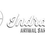 Black and white logo of Indraloka Animal Sanctuary