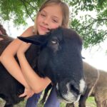 A girl hugging a black rescue sheep
