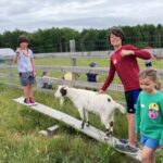 kids playing with a rescue goat on seeswa and some kids walking by and other sitting in the background on pastures