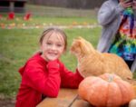 A girl in a red shirt smiling and petting an orange cat who sits in front of her on a table. An orange pumpkins is also on the table