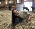 Indra Lahiri hugging rescued sheep Tee-Hee on a bed of hay in a barn.