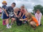 A group of kids gently touching a black pig
